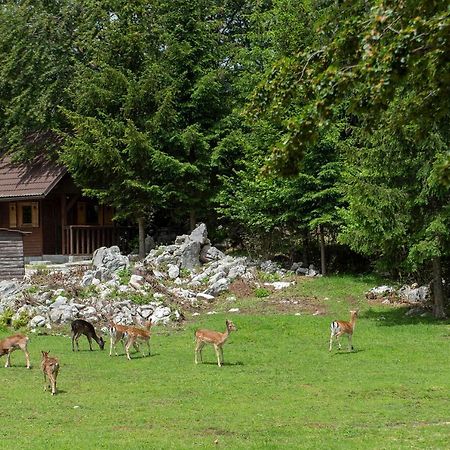 Apartma Vidmar Otlica Ajdovscina Luaran gambar
